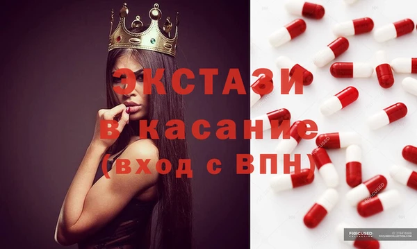 индика Елабуга