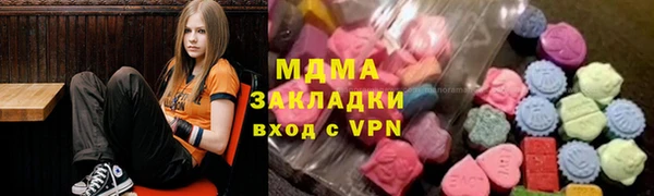 индика Елабуга