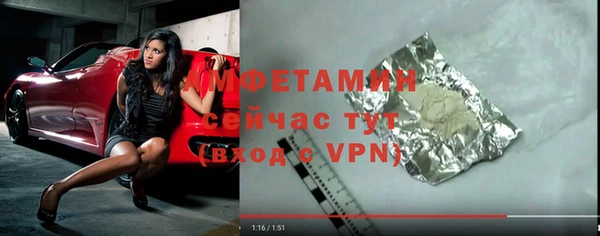 индика Елабуга