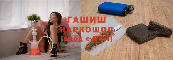 индика Елабуга