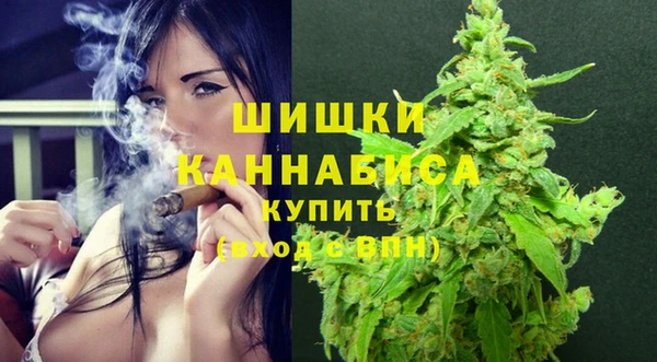 индика Елабуга