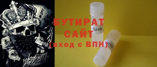 индика Елабуга