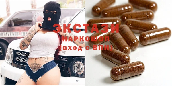 индика Елабуга