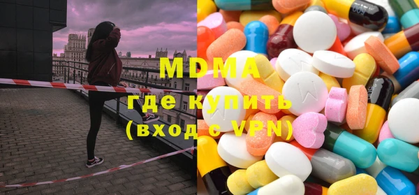 индика Елабуга