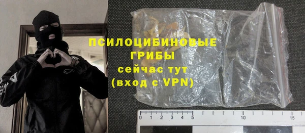 индика Елабуга