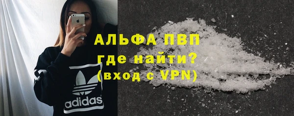 индика Елабуга