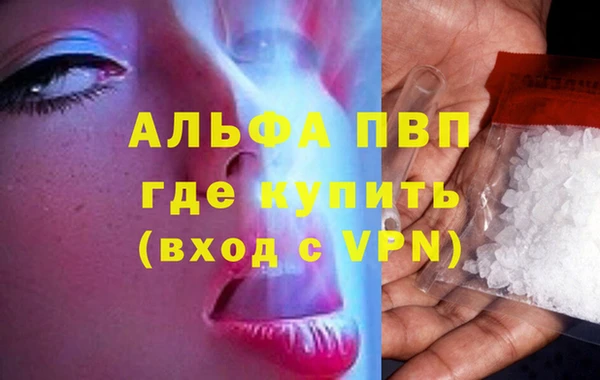 индика Елабуга