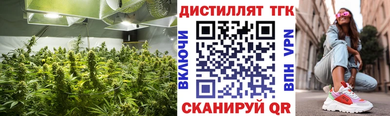ОМГ ОМГ   купить закладку  Красногорск  Дистиллят ТГК THC oil 